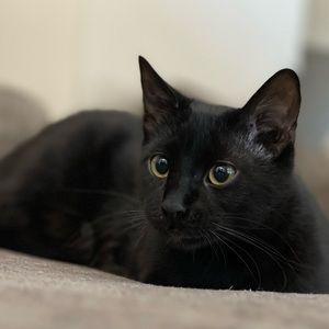 Meet your Posher, Hannah